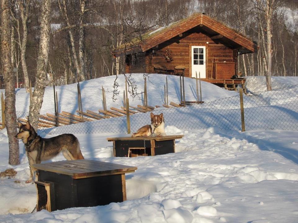 Huskylodge Chalet