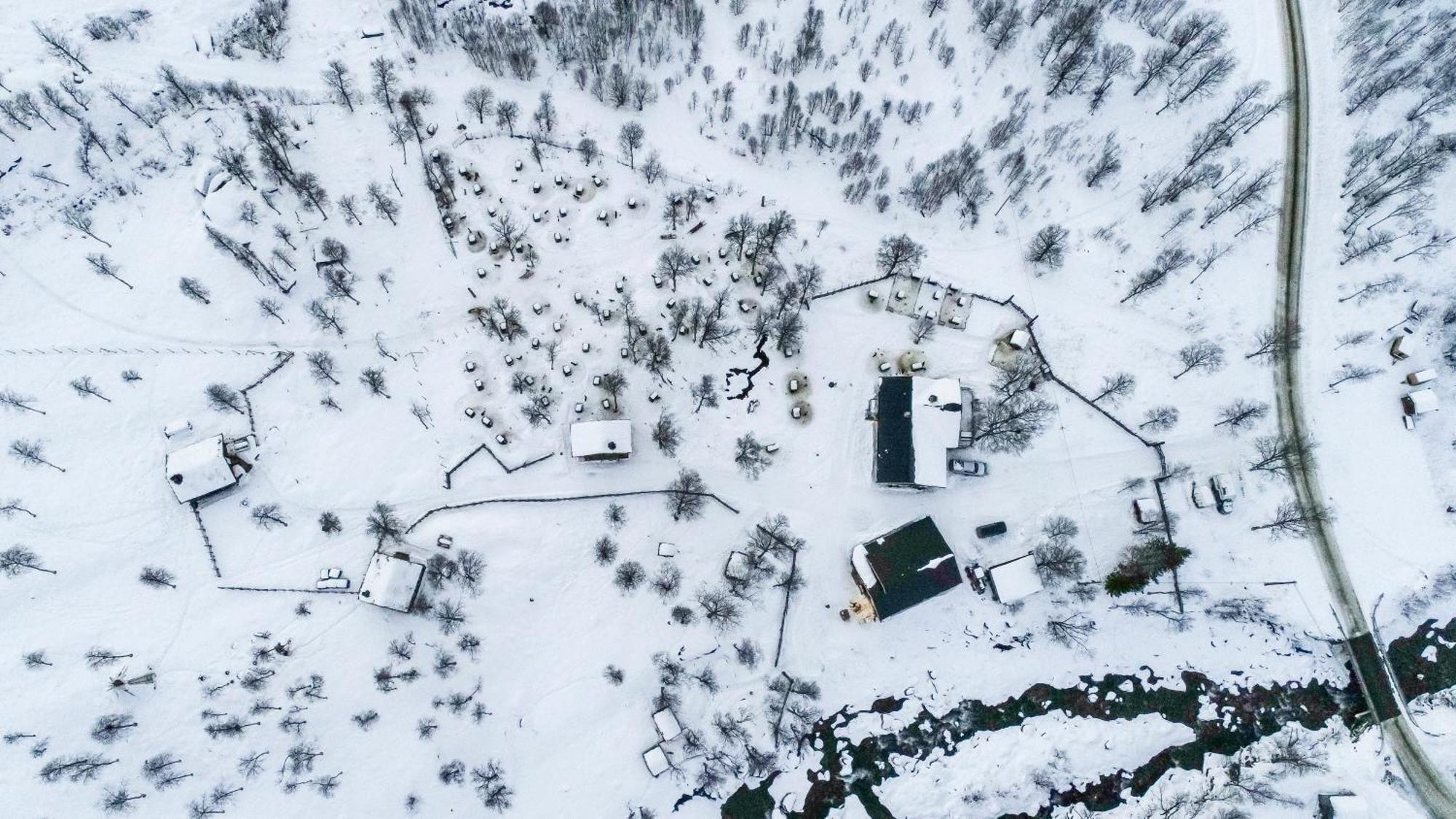 Huskylodge Chalet